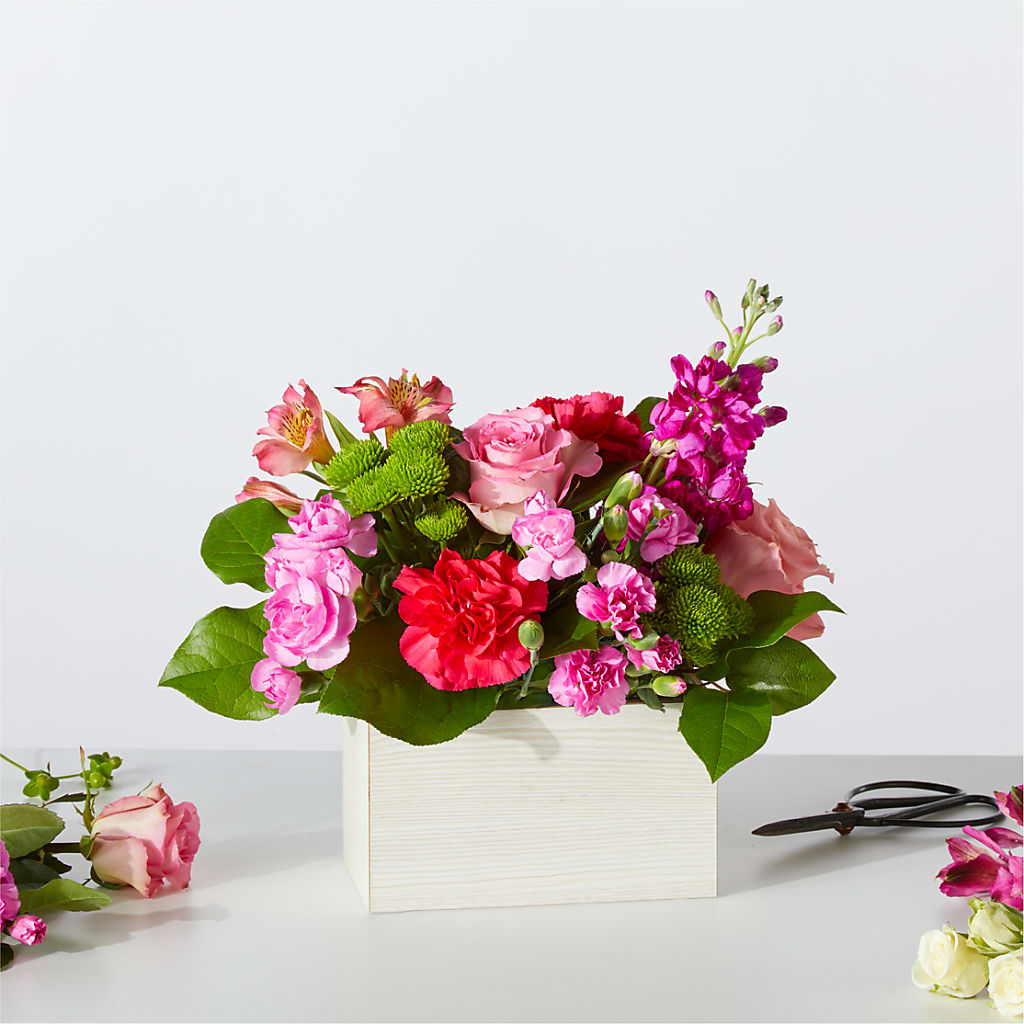 Sweetberry Box – A Florist Original – A Daisy A Day, Winston-salem NC