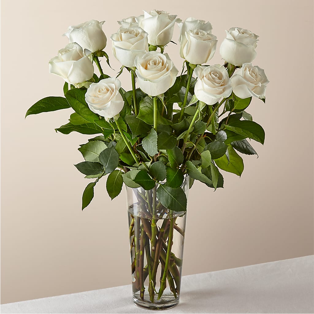Long Stem White Rose Bouquet – A Daisy A Day, Winston-salem NC
