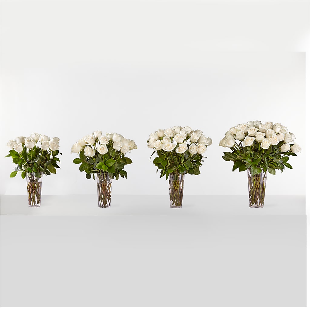 Long Stem White Rose Bouquet – A Daisy A Day, Winston-salem NC