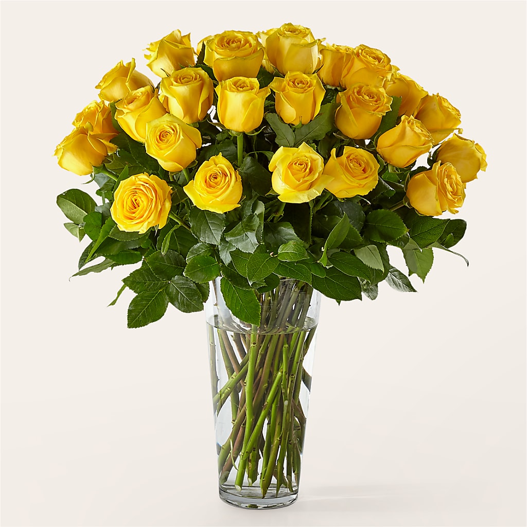 Long Stem Yellow Rose Bouquet – A Daisy A Day, Winston-salem NC