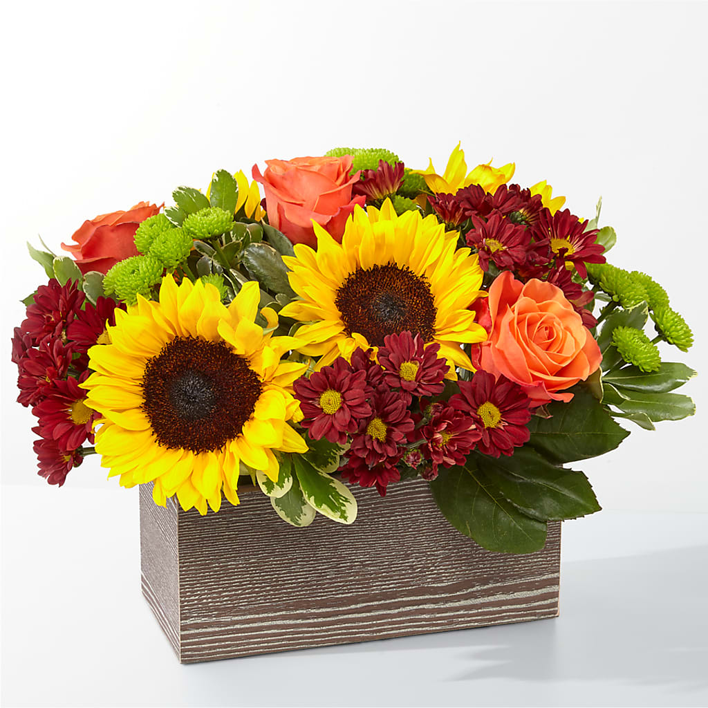 Happy Harvest Garden – A Daisy A Day, Winston-salem NC