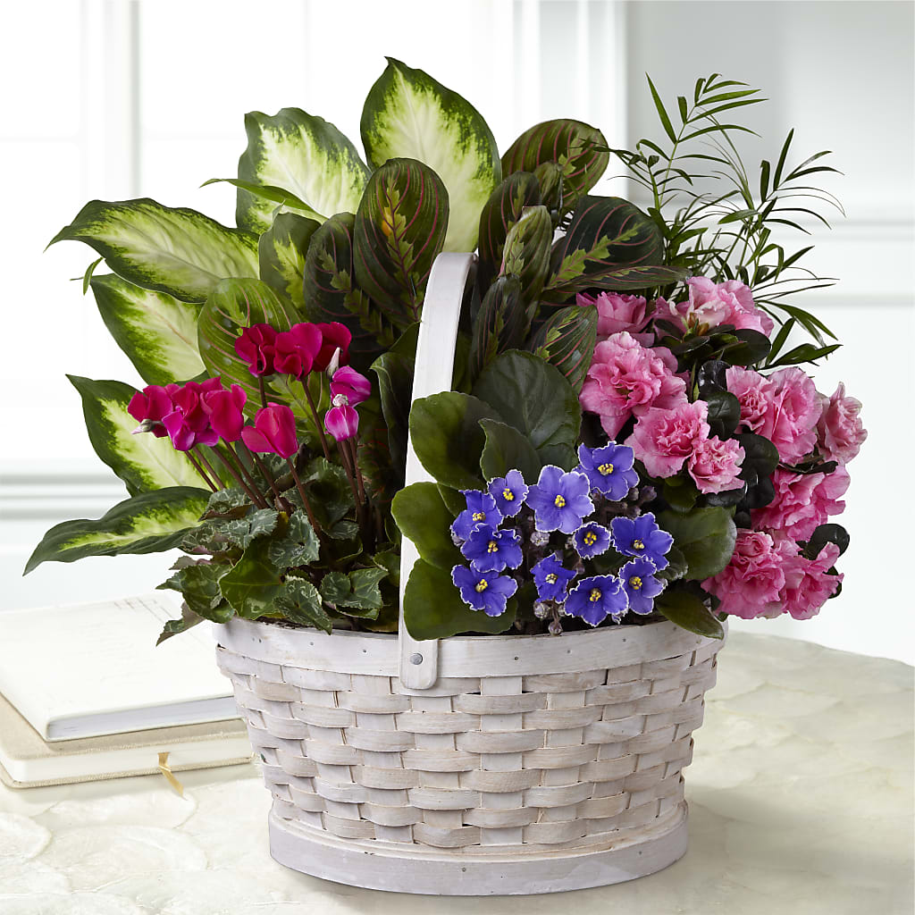 Peaceful Garden Planter – A Daisy A Day, Winston-salem NC