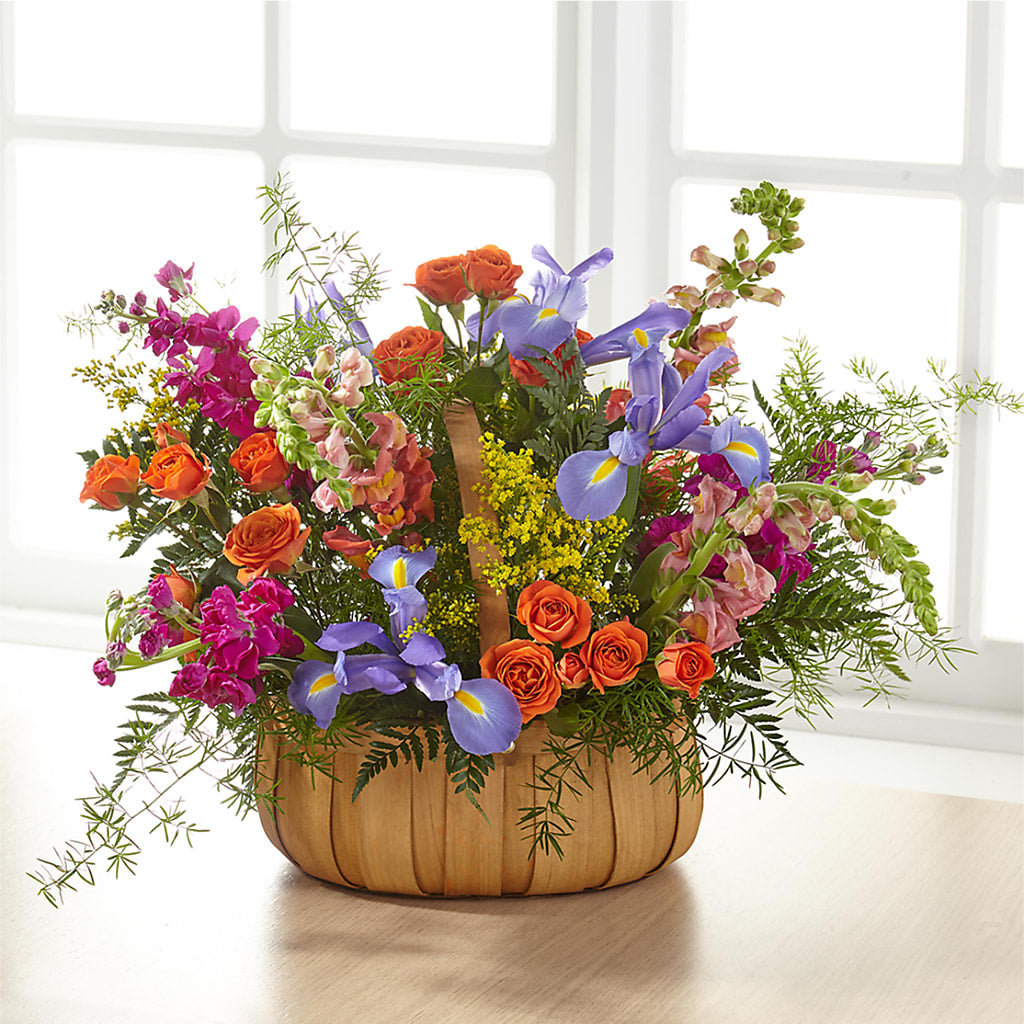 Garden of Life Basket – A Daisy A Day, Winston-salem NC