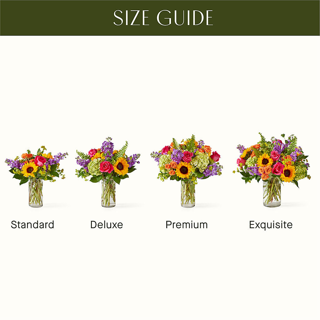 Vibrant Greetings Bouquet – A Daisy A Day, Winston-salem NC
