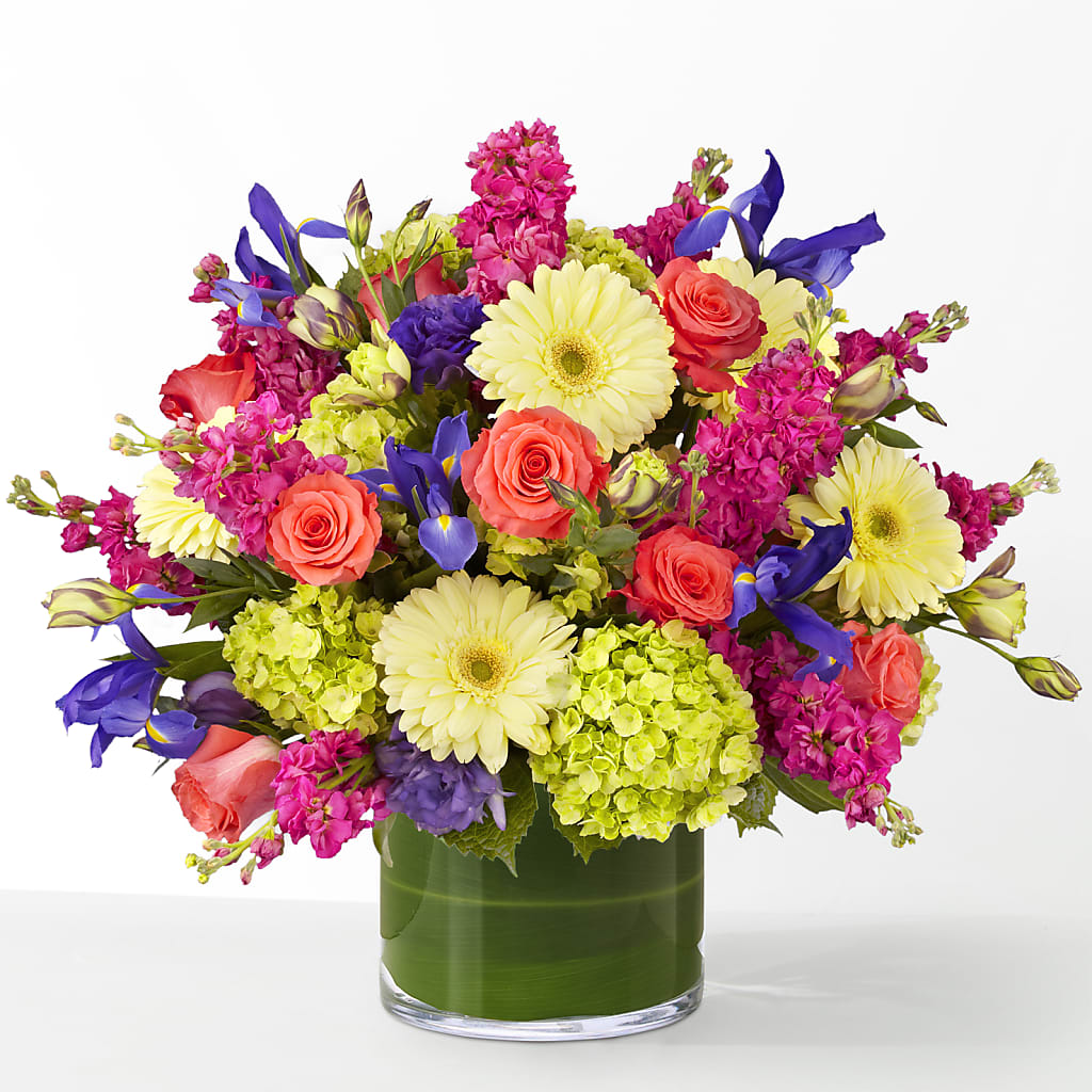 The Couture – A Daisy A Day, Winston-salem NC