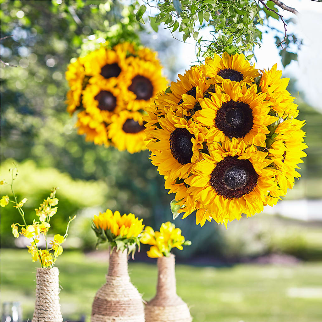 Sublime Garden Hanging Arrangement – A Daisy A Day, Winston-salem NC