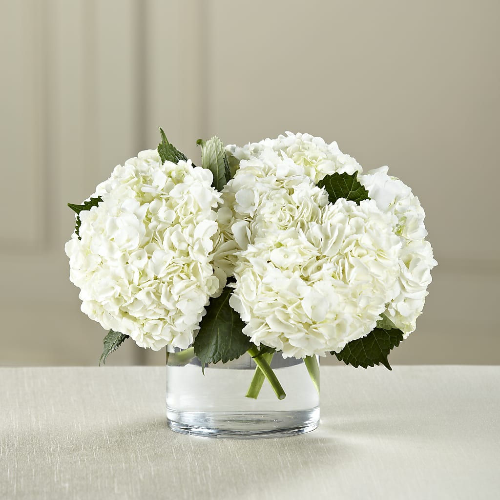 White Hydrangea Bouquet – A Daisy A Day, Winston-salem NC