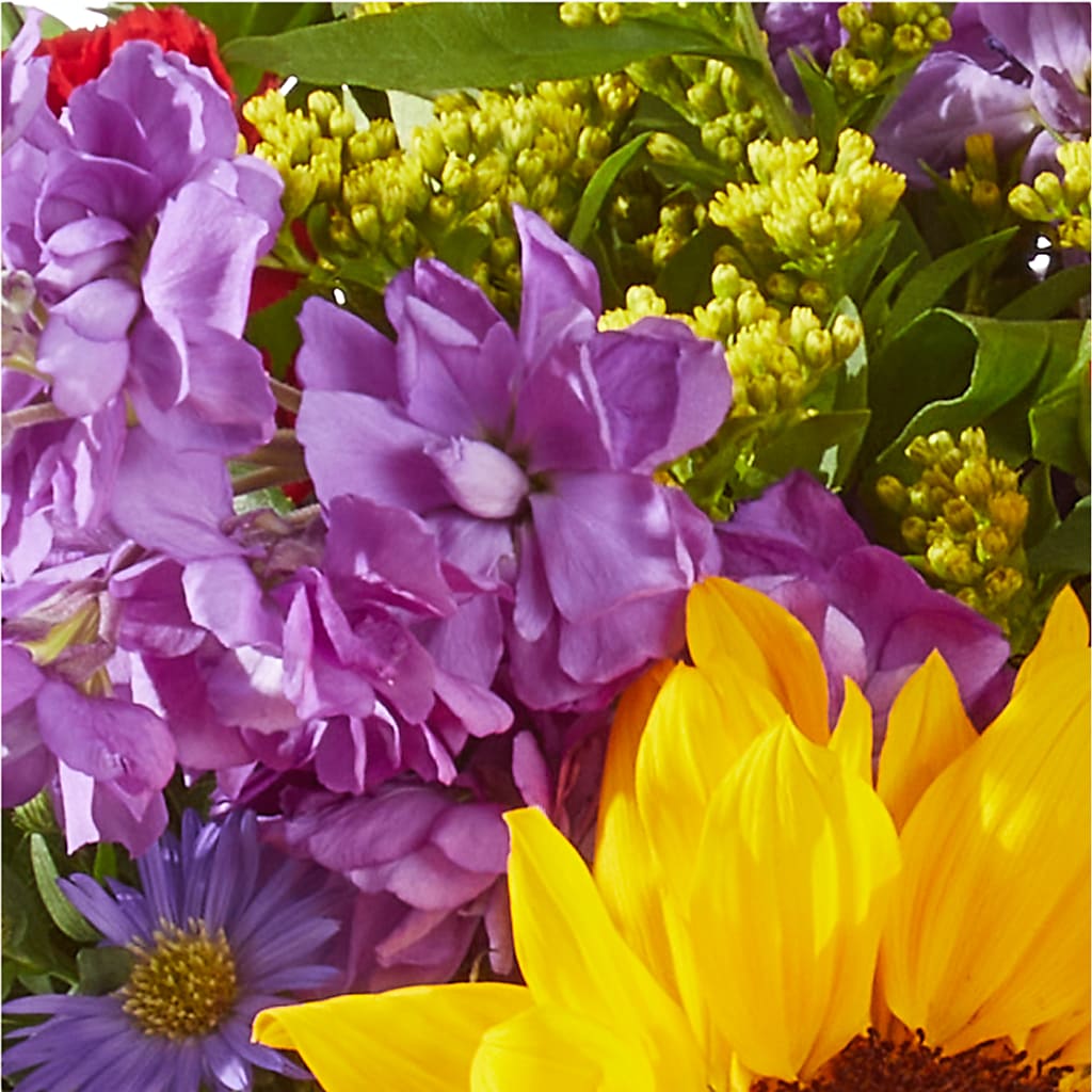 Celebrating You Bouquet –  A Daisy A Day, Winston-salem NC