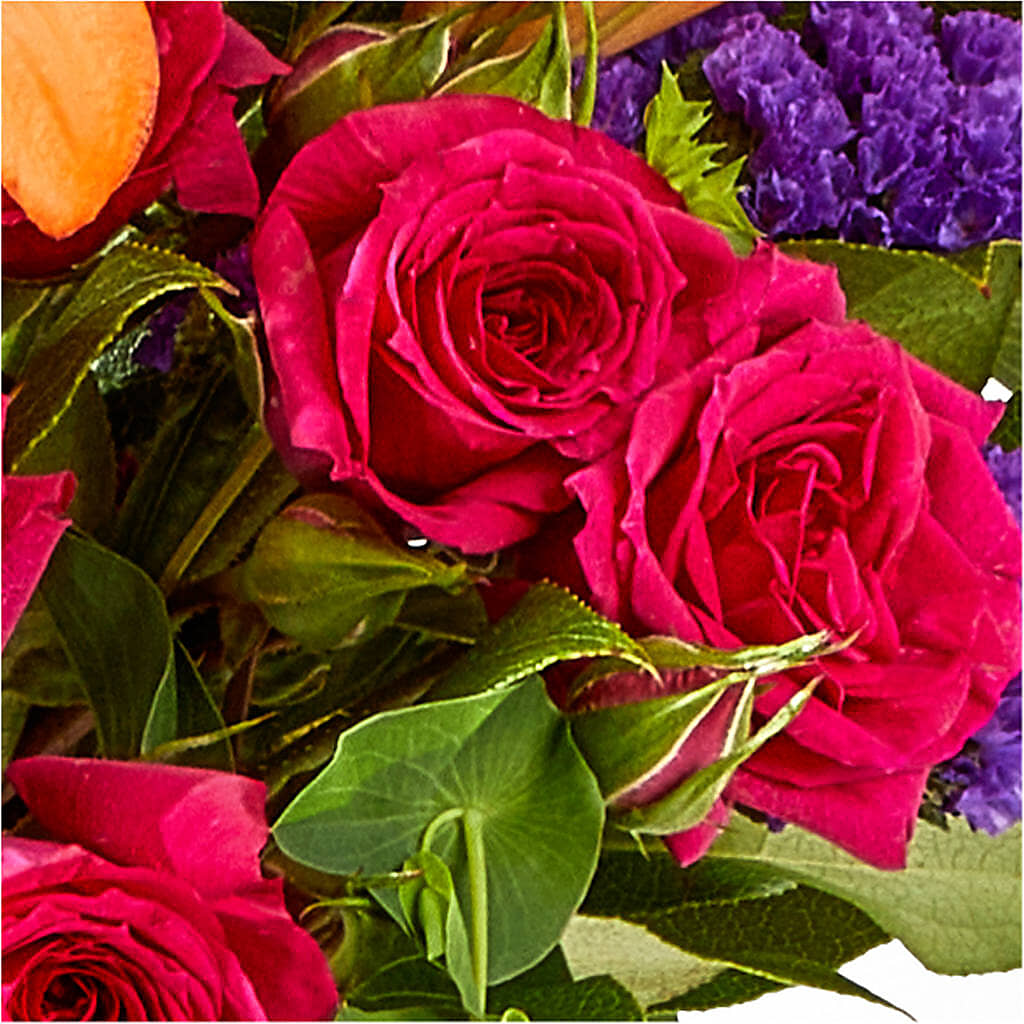 Birthday Palooza Bouquet –  A Daisy A Day, Winston-salem NC