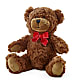 Adorable Plush Bear –  A Daisy A Day, Winston-salem NC