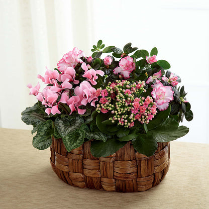 Pink Assortment –  A Daisy A Day, Winston-salem NC