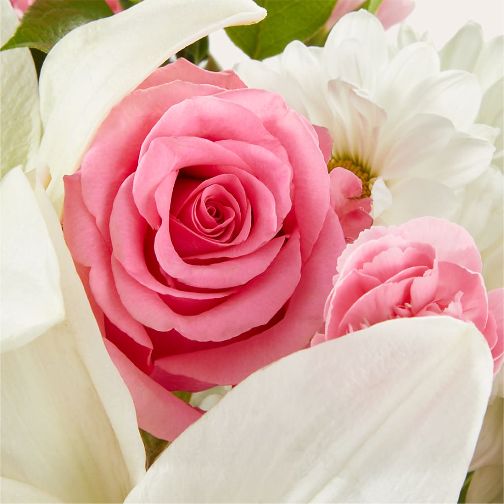 Whispers of Comfort Bouquet –  A Daisy A Day, Winston-salem NC