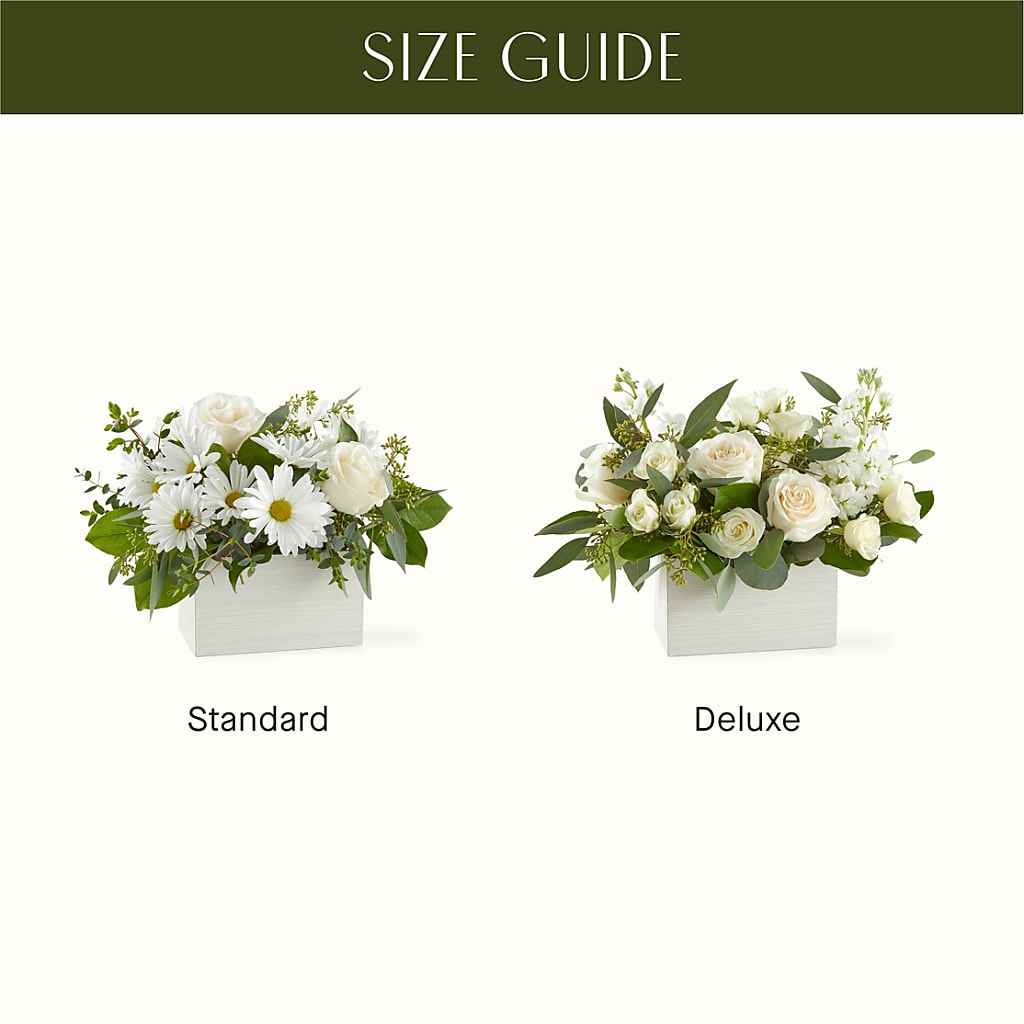 Fresh Linen Box Bouquet –  A Daisy A Day, Winston-salem NC