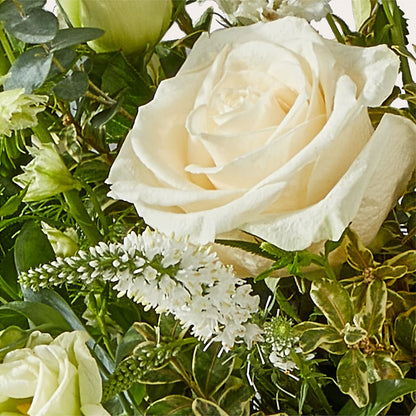 Cashmere Bouquet –  A Daisy A Day, Winston-salem NC