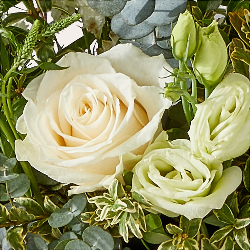 Cashmere Bouquet –  A Daisy A Day, Winston-salem NC