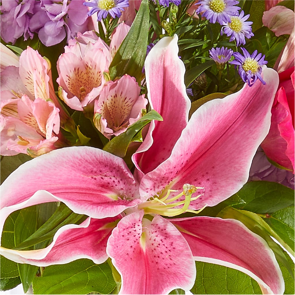 Written in the Stars Bouquet –  A Daisy A Day, Winston-salem NC