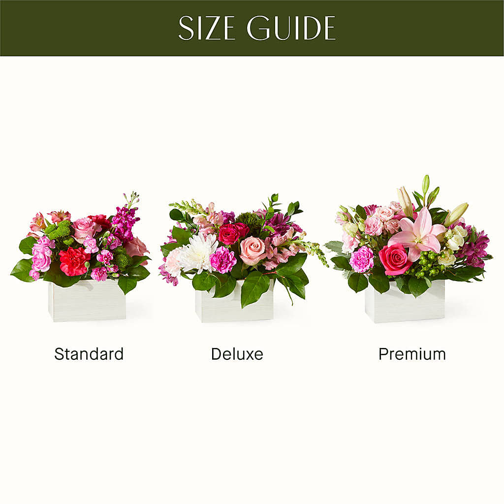 Sweetberry Box – A Florist Original –  A Daisy A Day, Winston-salem NC