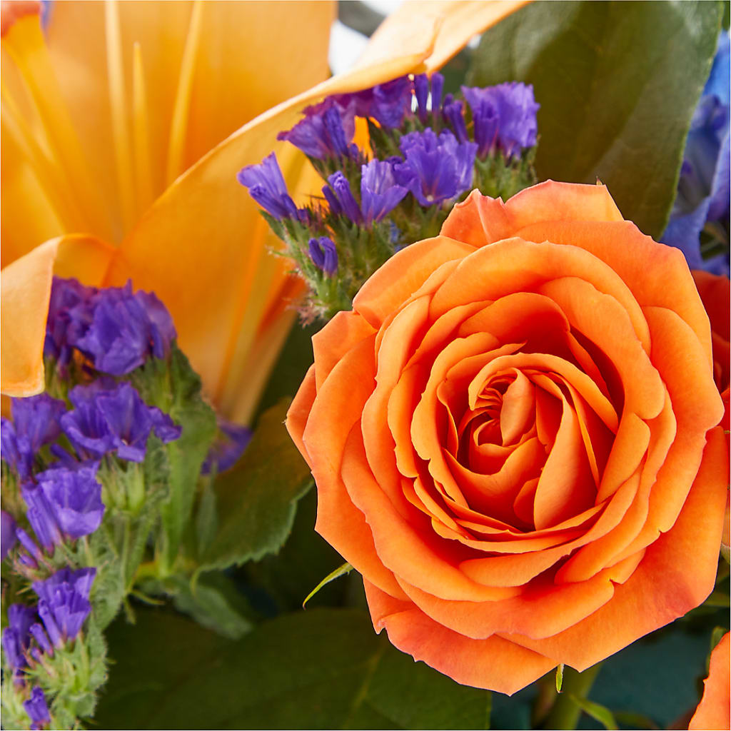 Radiant Citrus Box Bouquet –  A Daisy A Day, Winston-salem NC