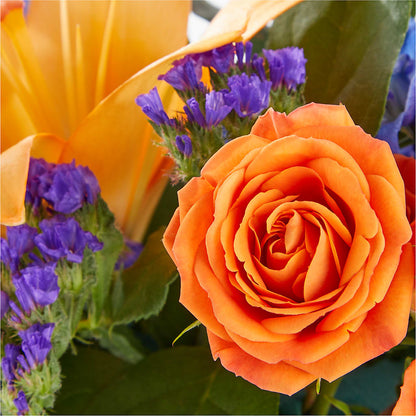 Radiant Citrus Box Bouquet –  A Daisy A Day, Winston-salem NC