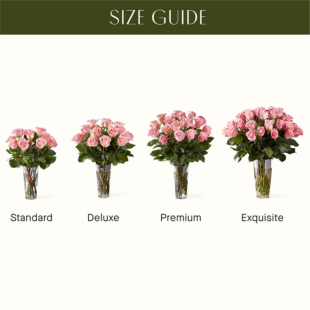 Long Stem Pink Rose Bouquet –  A Daisy A Day, Winston-salem NC