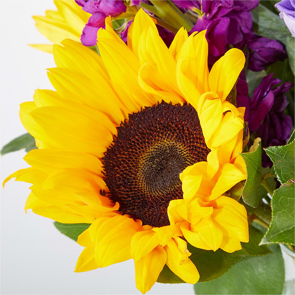 Catching Rays Bouquet –  A Daisy A Day, Winston-salem NC