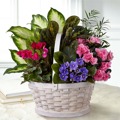 Peaceful Garden Planter –  A Daisy A Day, Winston-salem NC