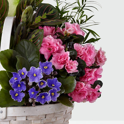 Peaceful Garden Planter –  A Daisy A Day, Winston-salem NC