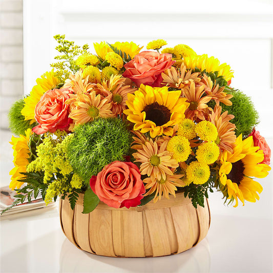 Harvest Sunflower Basket –  A Daisy A Day, Winston-salem NC