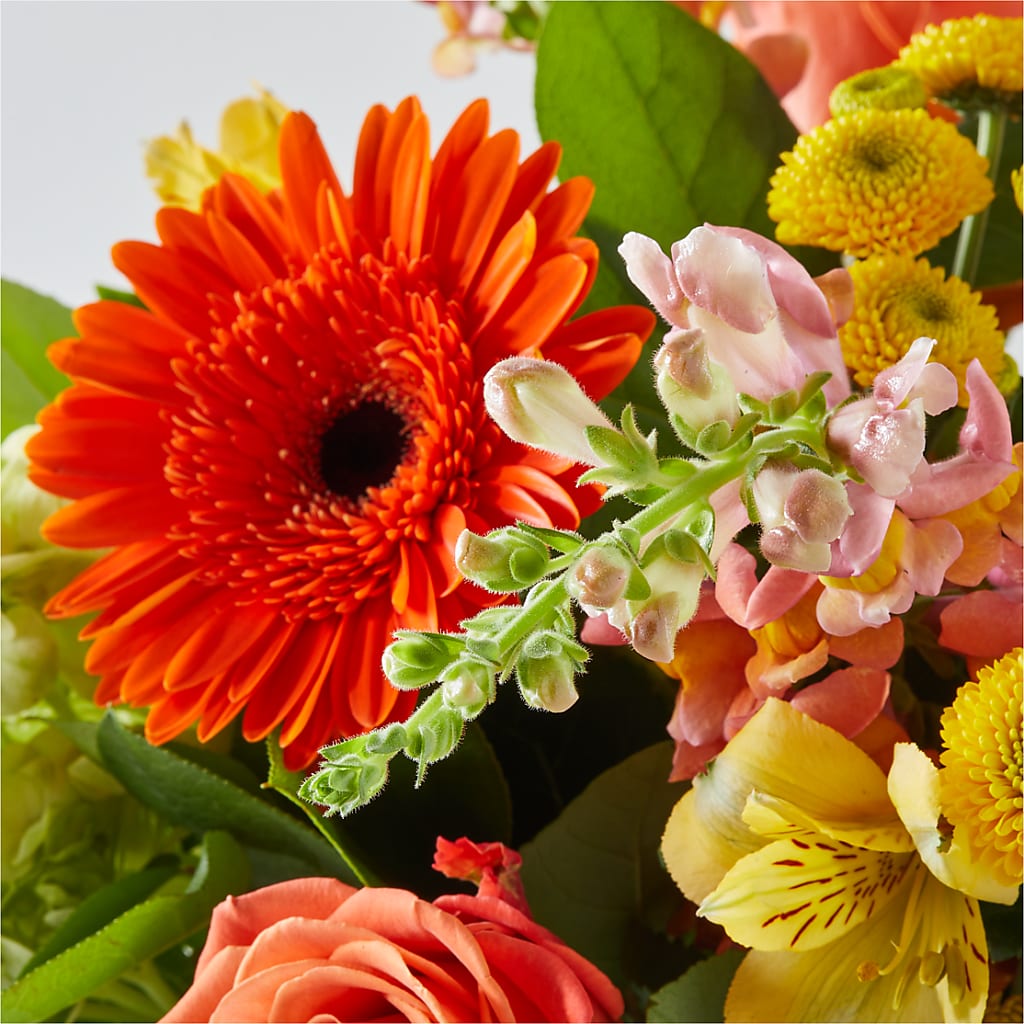 Autumn Sunshine Bouquet –  A Daisy A Day, Winston-salem NC
