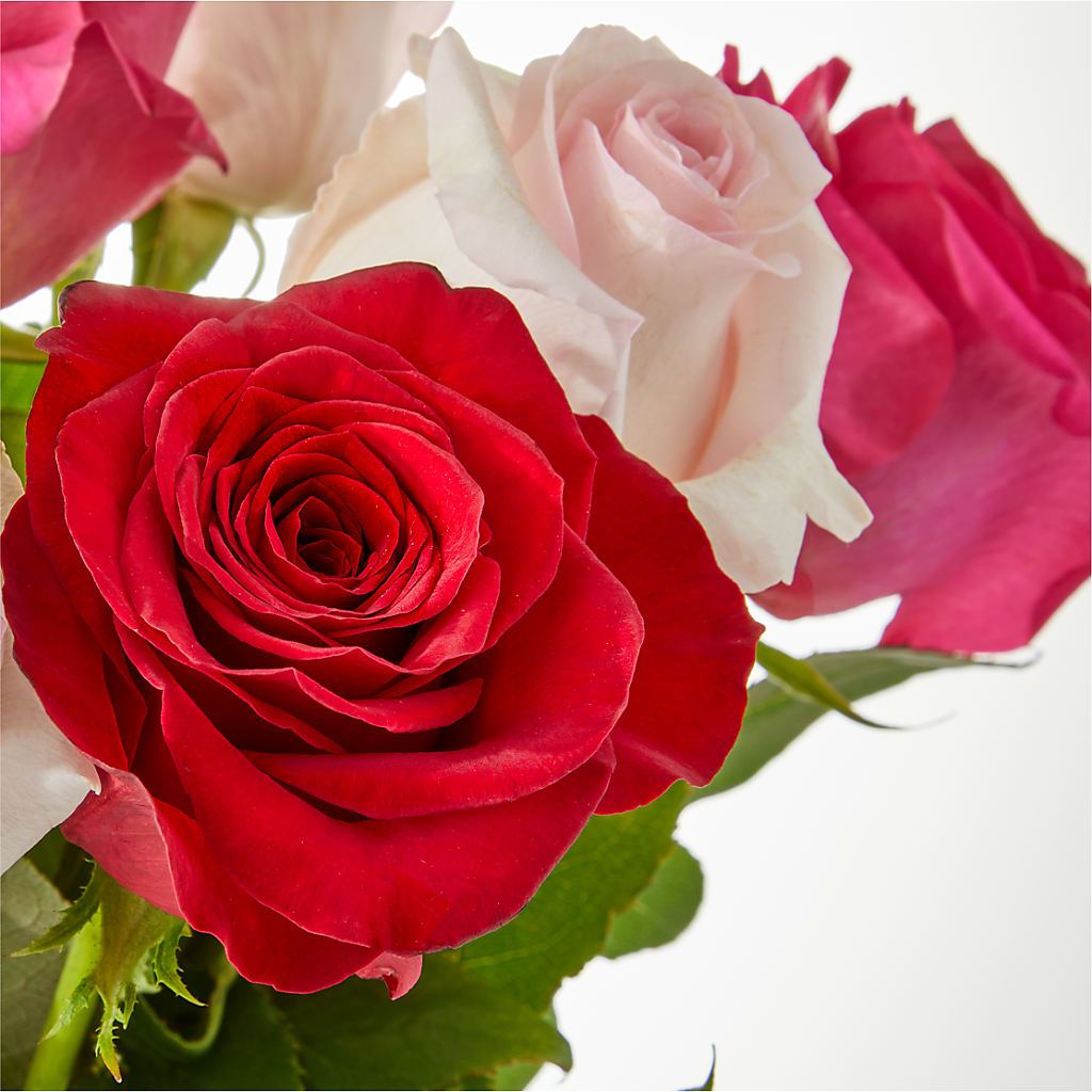 Charming Rose Bouquet –  A Daisy A Day, Winston-salem NC