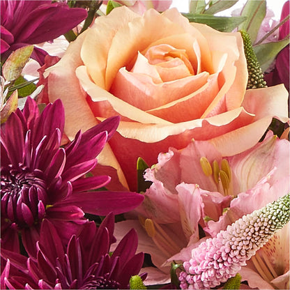 Berry Cobbler Bouquet –  A Daisy A Day, Winston-salem NC