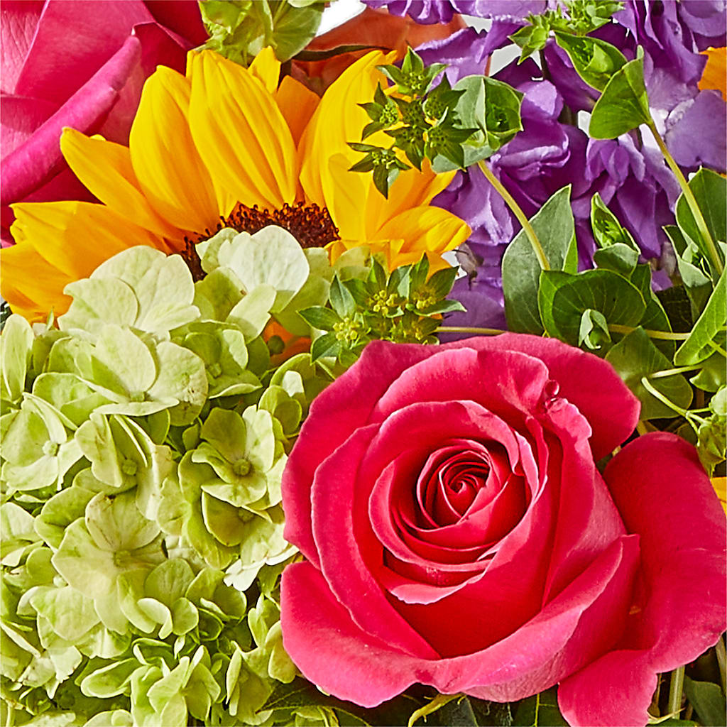 Vibrant Greetings Bouquet –  A Daisy A Day, Winston-salem NC