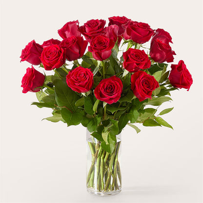 The One Red Rose Bouquet –  A Daisy A Day, Winston-salem NC