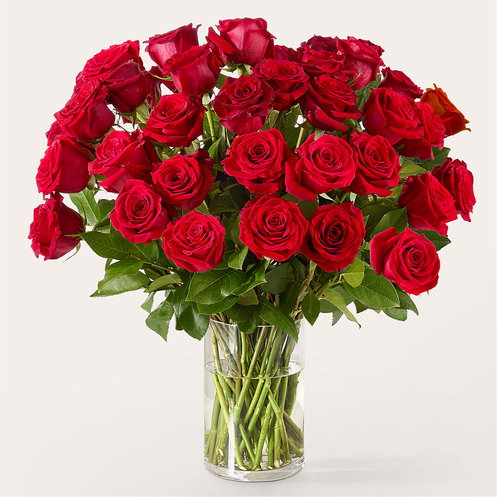 The One Red Rose Bouquet –  A Daisy A Day, Winston-salem NC