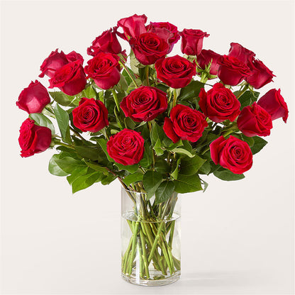 The One Red Rose Bouquet –  A Daisy A Day, Winston-salem NC