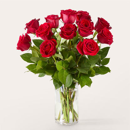 The One Red Rose Bouquet –  A Daisy A Day, Winston-salem NC