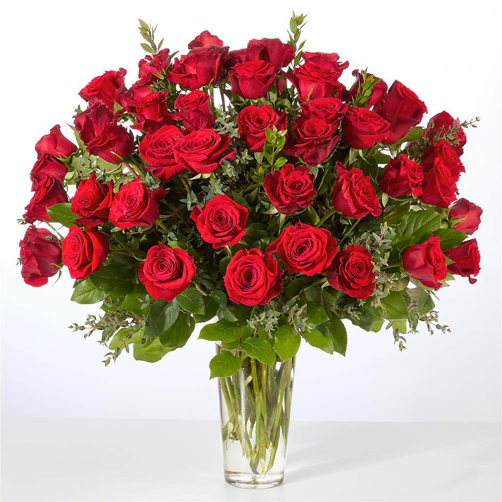 Forever Yours Fifty Stem Red Rose Bouquet –  A Daisy A Day, Winston-salem NC