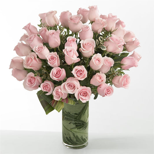 Pink Essence –  A Daisy A Day, Winston-salem NC