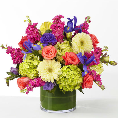 The Couture –  A Daisy A Day, Winston-salem NC