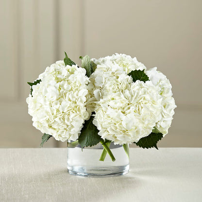 White Hydrangea Bouquet –  A Daisy A Day, Winston-salem NC