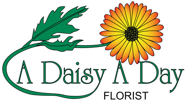 A Daisy A Day