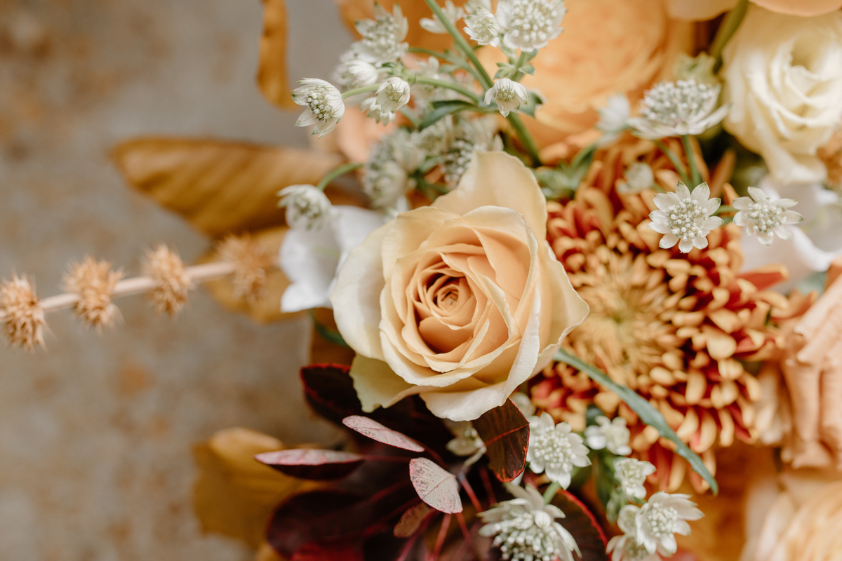 homepageBannerMetadata_Image_1789265679767.png
